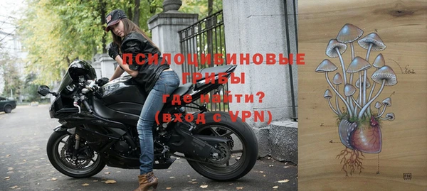 крисы Арсеньев