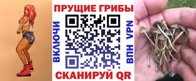 Галлюциногенные грибы прущие грибы  магазин  наркотиков  Мирный 